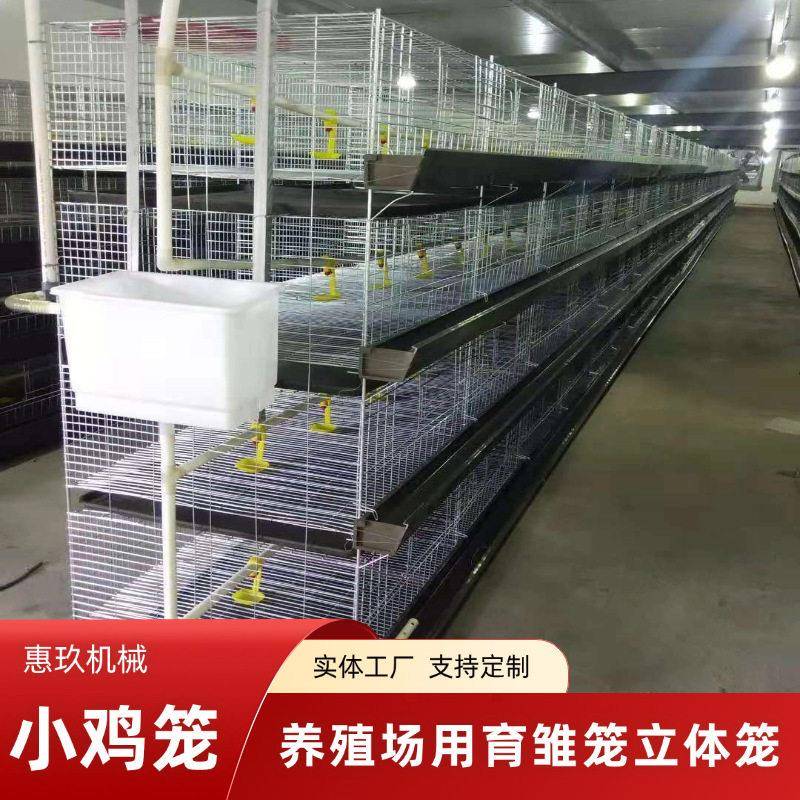 养鸡场立式育雏笼厂家养殖育雏苗H型4层立体式鸡笼小鸡育雏笼