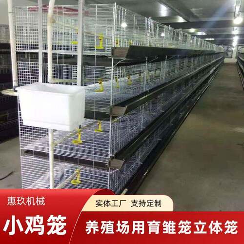 养鸡场立式育雏笼厂家养殖育雏苗H型4层立体式鸡笼小鸡育雏笼