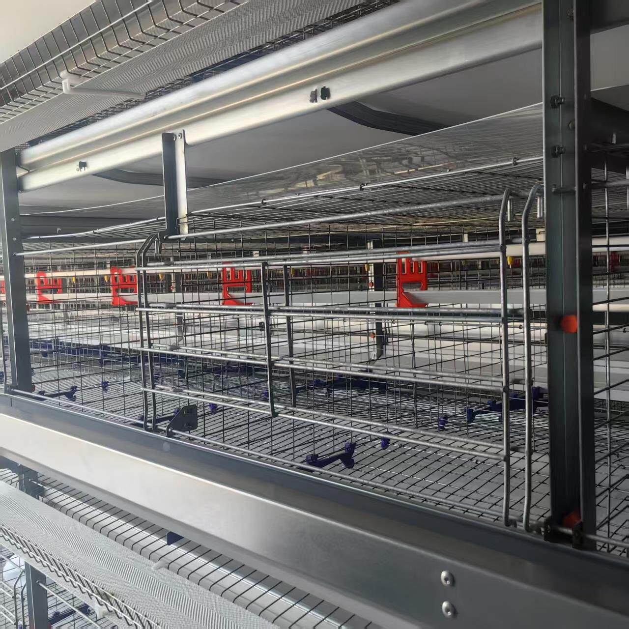 鸡笼子蛋鸡笼肉鸡笼自动捡蛋养鸡场设备可来图制镀锌笼合金丝笼