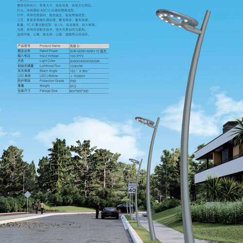 景观灯-亮丽 D校园小区公园30W60W80W工厂生产