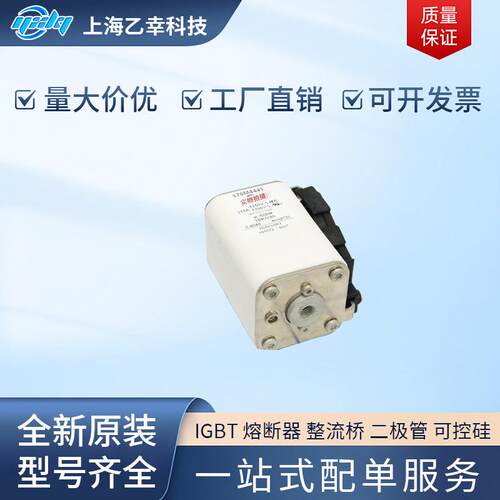 巴斯曼熔断器 170M4446 170M4447 170M4458 170M4459 170M4460