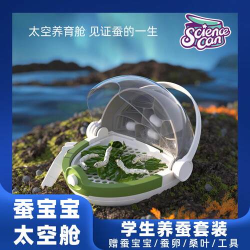蚕宝宝太空舱学生养蚕科学罐头套装活体卵结白色彩色茧赠桑叶工具