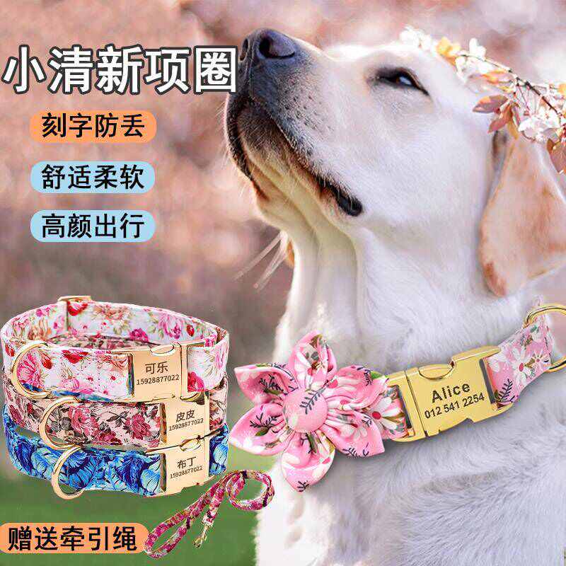 狗牌定制防丢项圈狗狗牵引绳刻字名牌可爱中大型犬法斗金毛狗脖圈