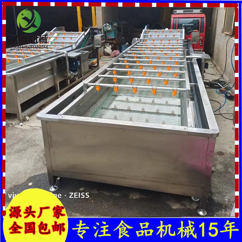 多功能水果中药材气泡清洗机大型玉米清洗线蓝莓喷淋气泡清洗设备