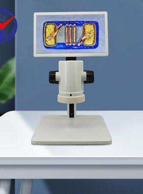 VZ8高清视频显微镜可测量拍录像11.6寸显示器一体式电子显微镜