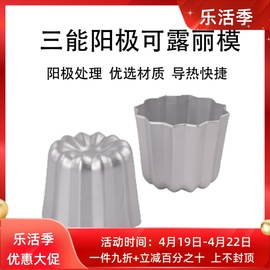 三能可露丽蛋糕模，sn6253家用阳极蛋糕模具，烤箱用易脱模烘焙模具