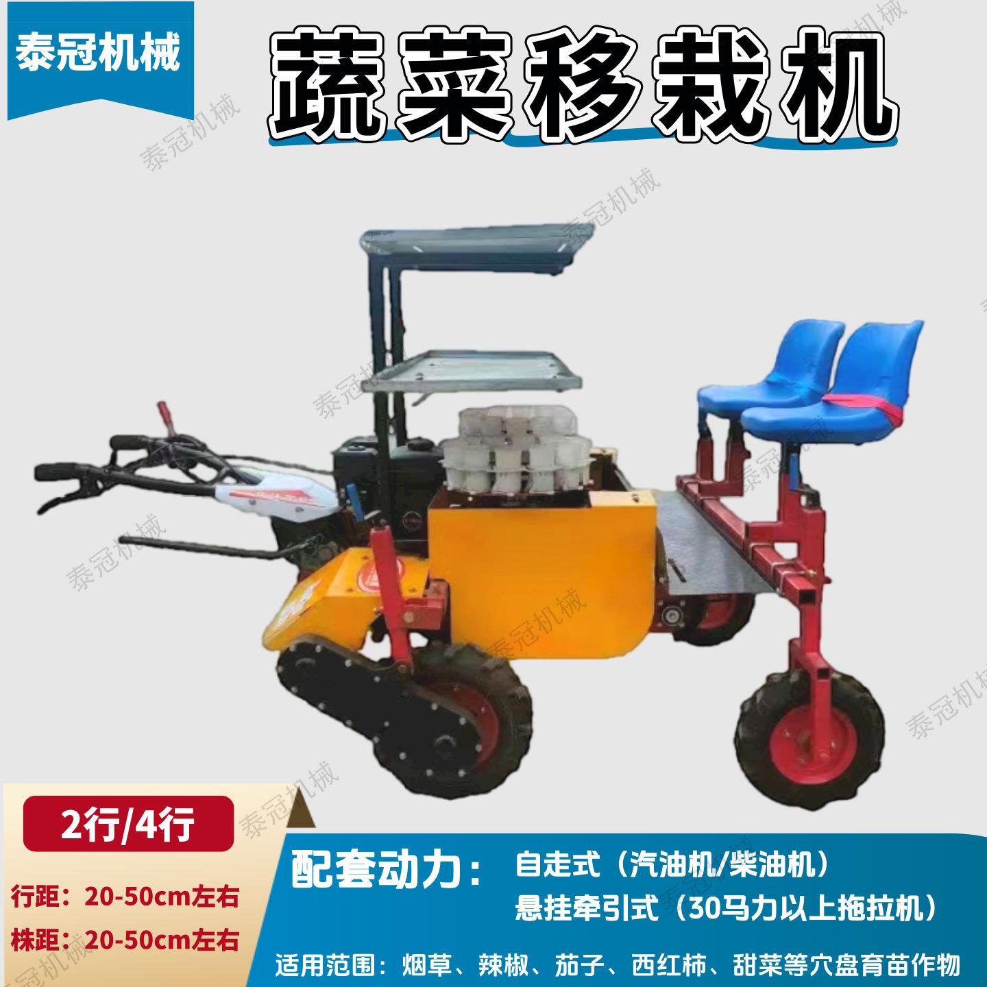 辣椒茄子西红柿烟草栽苗机出口洋葱苗移栽机2行4行秧苗定植机