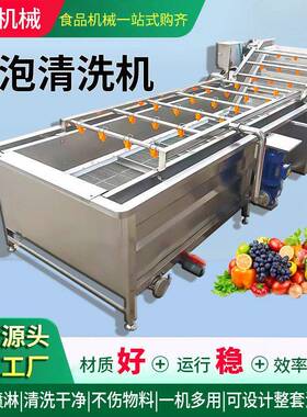 糯米笋竹笋山野菜压喷淋清洗机小龙虾气泡清洗设备不锈钢洗菜机