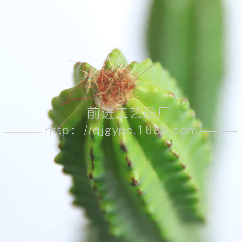仿真八楞仙人柱热带仿生仙人掌绿植室内大型号落地假植物造景装饰