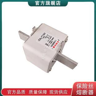 6870 巴斯曼快速熔断器 170M6867 6869 8646 8650 8645 6868 6891