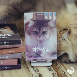 金故文创邓峰家的猫，明信片30张可爱生日，贺卡纪念品抖音同款