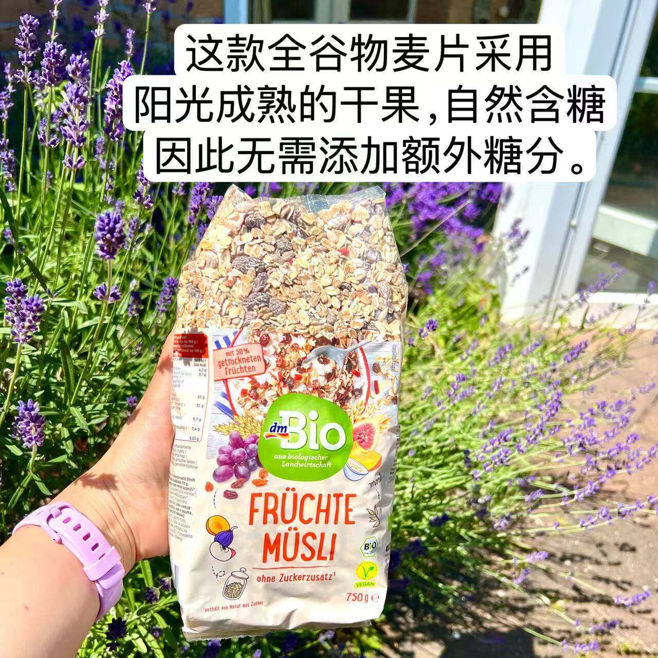 德国原装进口有机葡萄干果仁燕麦片750g坚果水果健身学生营养早餐