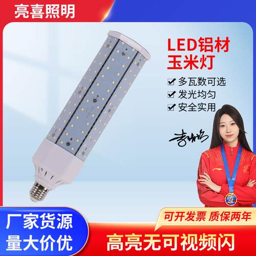 led玉米灯泡厂家e27工程大功率照明灯泡40W60W80W台灯