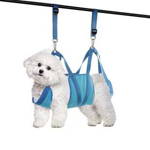 亞馬遜新款 hammock美容剪指甲中小型犬 cat 寵物用品狗吊床dog
