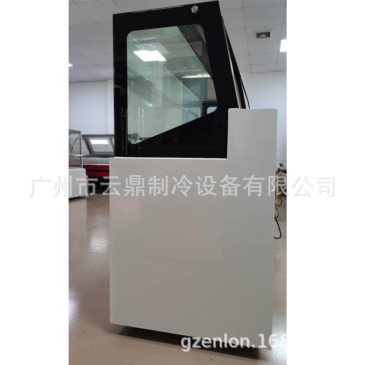 厂家 款 205九盘雪糕柜 gelatoshowcase 110新V 硬冰淇淋展示柜