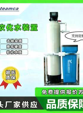实力厂家供应全自动软化水设备软化水处理锅炉处理器软水机商用