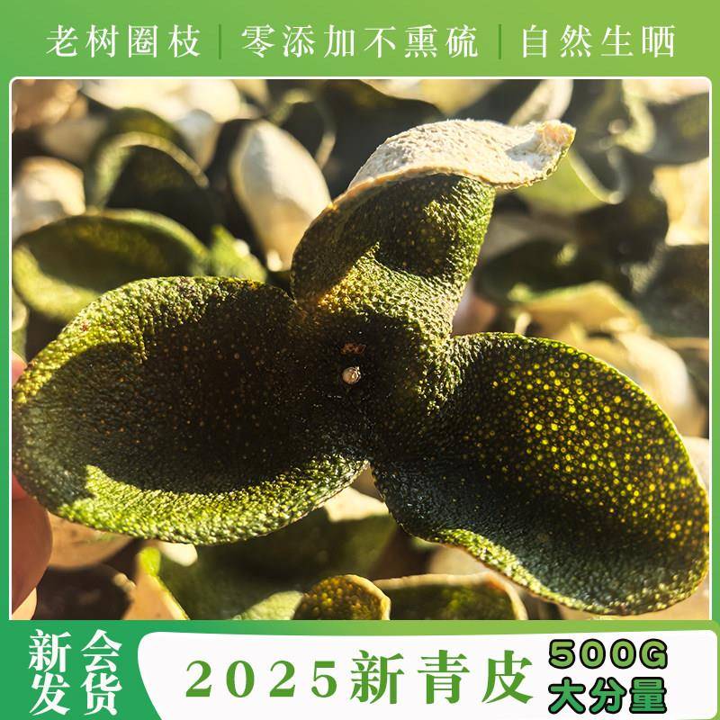 3年新会陈皮茶新会2025年广东特产陈皮青皮十年老树茶枝柑鲜