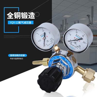 上海减压器厂YQY-12氧气减压阀全铜调压器压力表调压阀气体稳压器