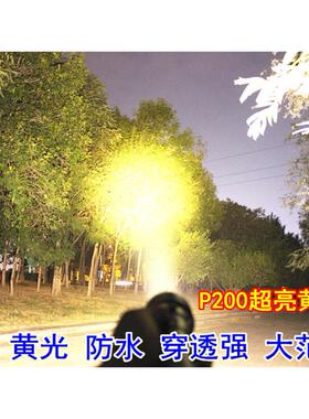 正品赶海20白光黄光潜水手电筒水下白专业抓鱼60650超2亮强光P9P0