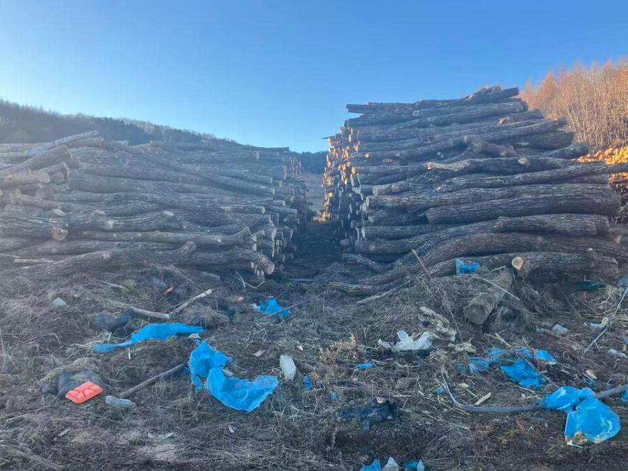 4月12日鹤岗市2026年规格材柞木网络拍卖公告