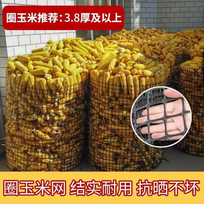 加厚养鸡鸭网塑料围栏防护网玉米网果园鱼塘圈地隔离网养殖育雏网