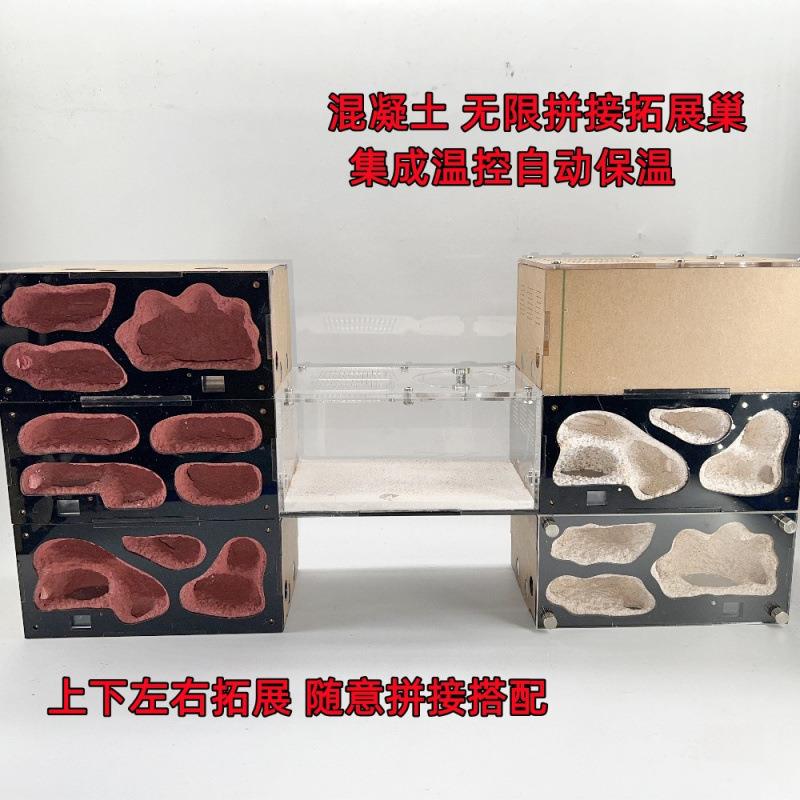混凝土蚁巢自动温控保温无限加叠款蚂蚁工坊城堡沙巢宠物蚂蚁