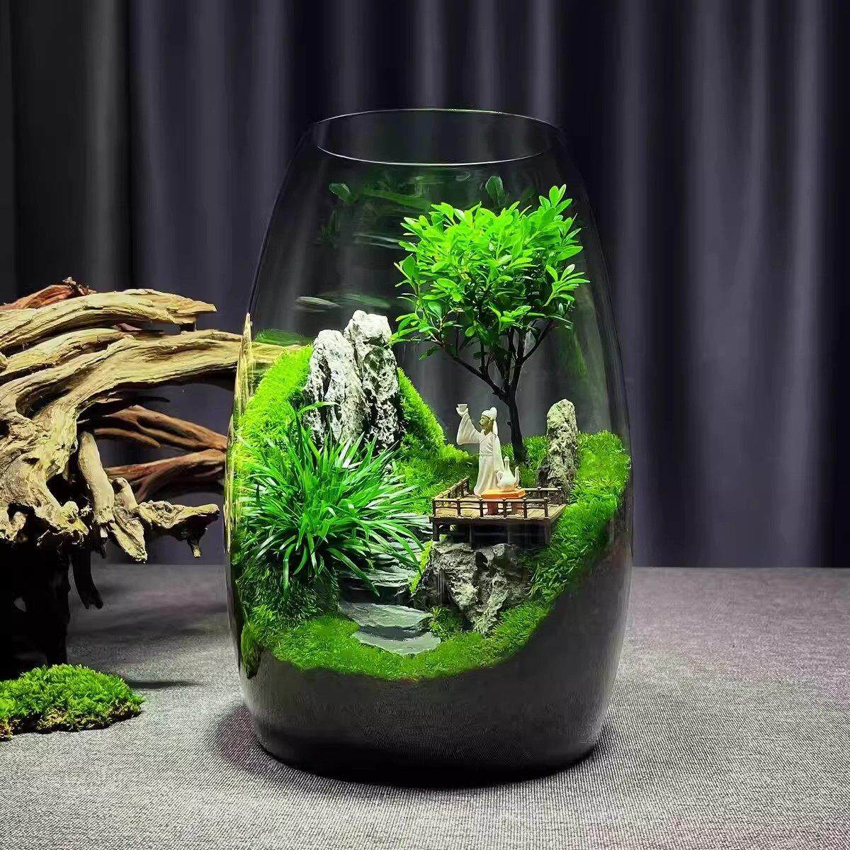 苔藓微景观生态瓶玻璃造景植物盆景办公室桌面盆栽养鱼缸装饰摆饰