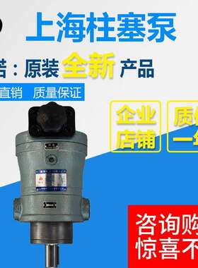 10SCY 25SCY 40SCY 63SCY 80SCY 100SCY 160SCY14-1B轴向柱塞油泵