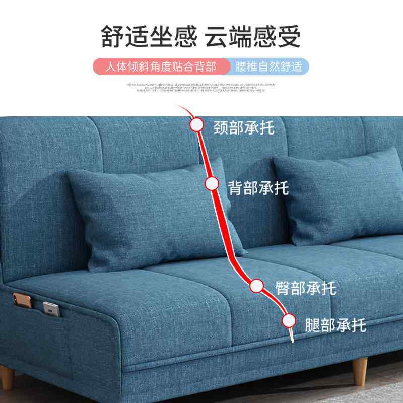 小户型沙发床两用可折叠客厅多功能简易布艺经济型出租房网红款龙