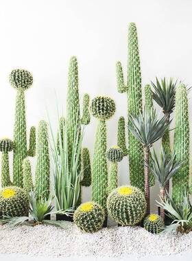 北仿欧装饰植网红大型真柱仙人掌仙人量天尺假盆栽摆件落地HUU绿