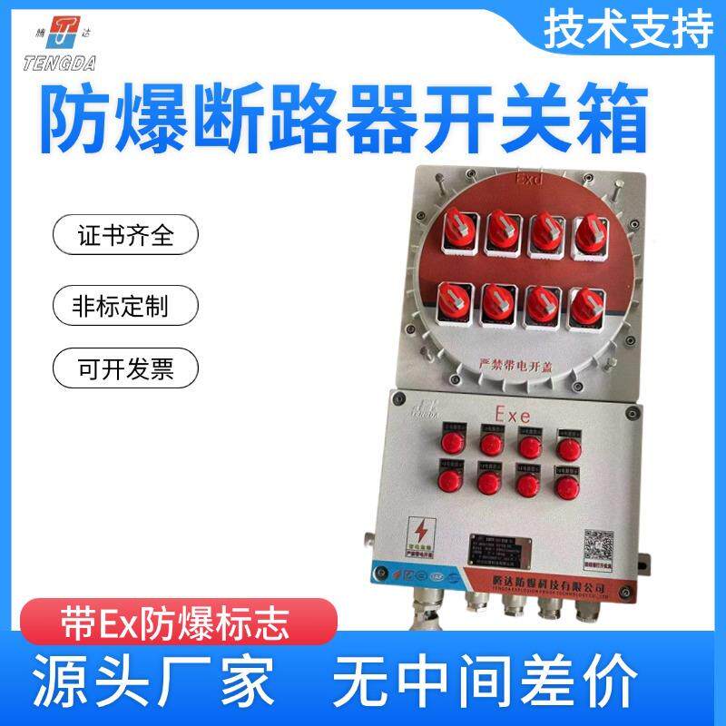 防爆断路器开关箱控制柜防雨型电柜检修仪表电源动力照明接线箱