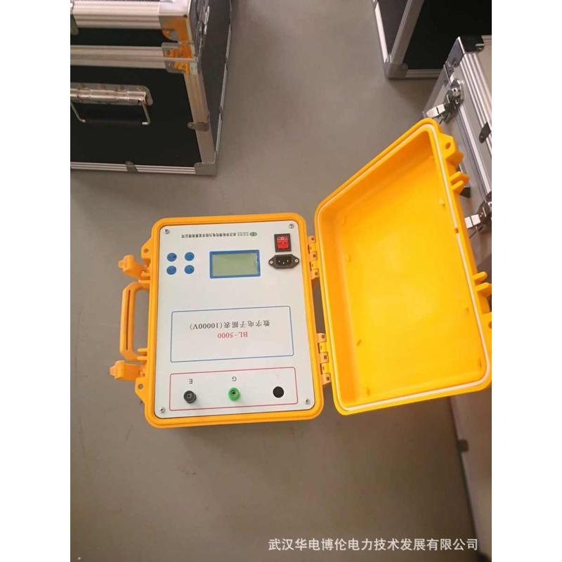 高压绝缘电阻测试仪10000V/5000V华电博伦
