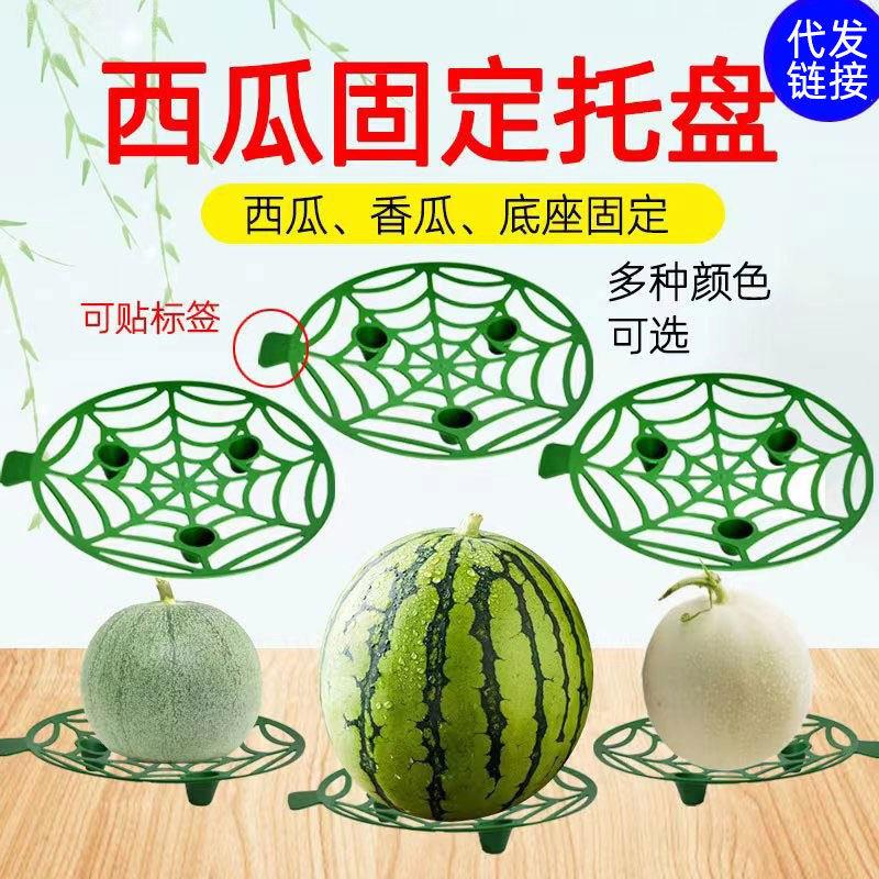 西瓜垫瓜果种植托盘园林农用瓜果塑料稳固托盘果实支撑架子