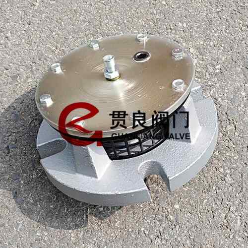 风机BSA7-100专用启动卸荷阀BSA7-065/BS7-100/BSA7-20机A械气囊