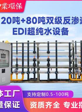 厂家直销大型反渗透120吨净化中水回用设备RO纯水机去离子水循环