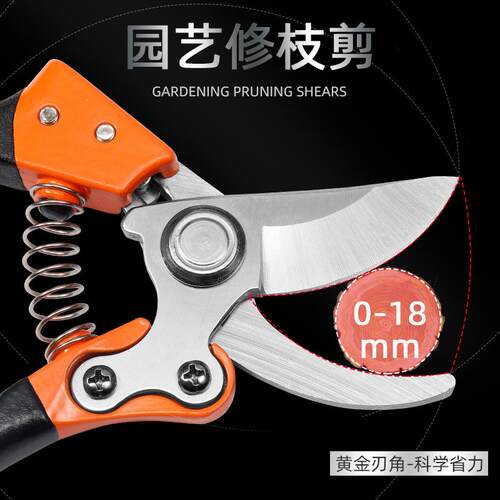 新款直销不锈钢园林粗枝剪园艺花艺修枝剪果园农场采摘工具