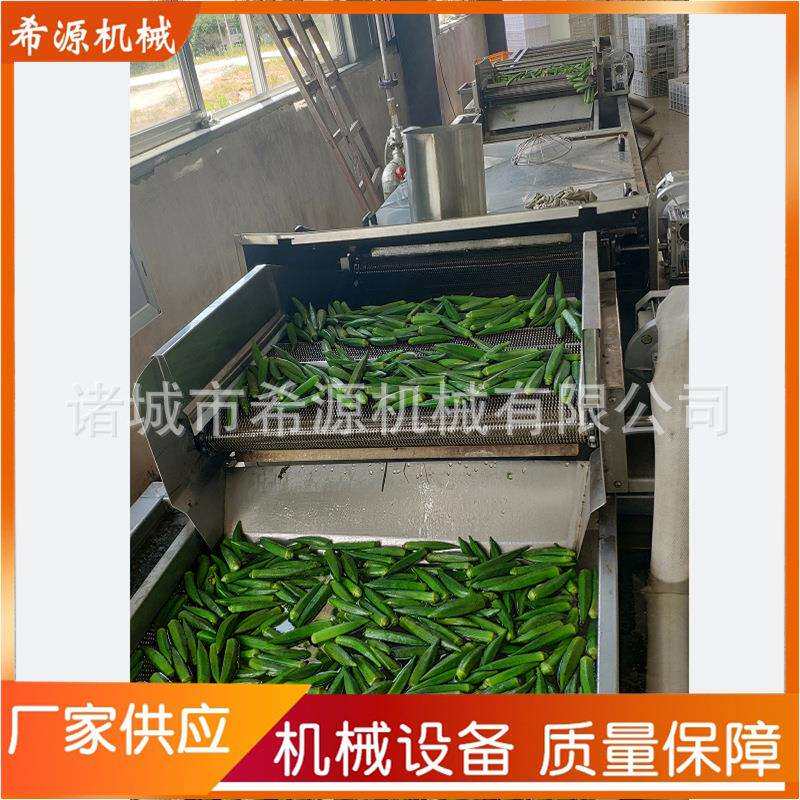 新品秋葵山野菜清洗杀青机 蒸汽式漂烫机 全自动蔬菜清洗机厂家