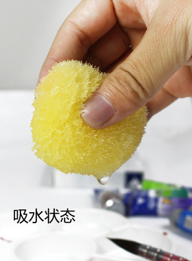 希腊天然海绵 美术海绵水彩海绵 地中海棉 水彩肌理工具1.5-2.5寸