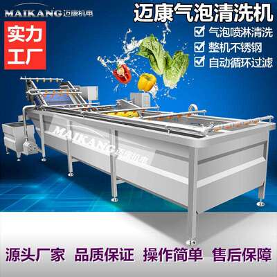 现货款青瓜刺瓜气泡冲浪清洗机叶菜类蔬菜清洗机