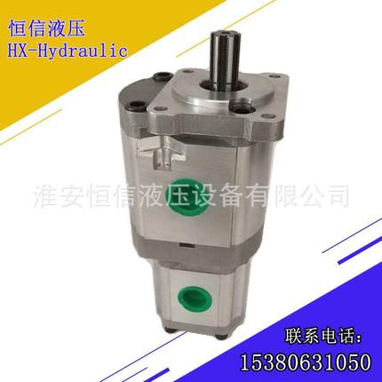 齿轮泵CBQ高压齿轮泵合肥齿轮泵双联泵钻机油泵转向助力泵