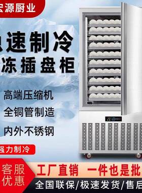 商用速冻柜低温急速冷冻柜海参饺子水饺速冻机插盘式大容量速冻机
