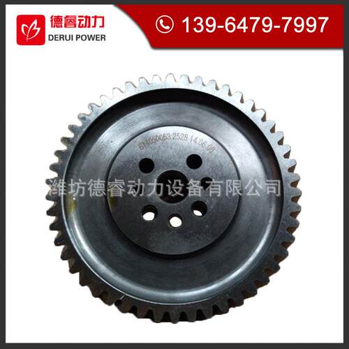 潍坊WD615WP10发动机柴油机配件614050053凸轮轴正时齿轮