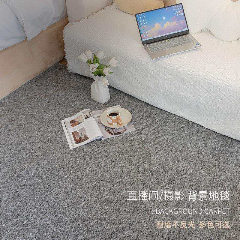拍照背景直播间地毯全铺展厅办公室会议室大面积满铺丙纶地毯