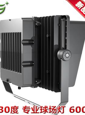 2026年新款高杆投光灯500W10度20度30度45度防水等级IP68球场灯
