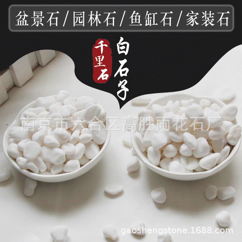 白石鱼缸多肉盆栽面园林装庭饰953白色石头院景观铺路子鹅卵铺石