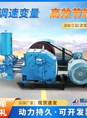 BW150泥浆泵高压往复活塞水泥输送泵工程矿用250型三缸卧式泥浆泵
