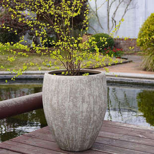 虹越嘉伯瑞凯瑟复古水缸塑料大号高款 水生植物睡莲盆仿古塑料花盆