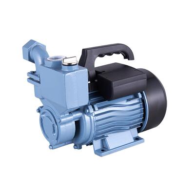 性价比1WZB35/45/65220V自吸泵抽水增压高扬程循环泵0.37-0.75KW