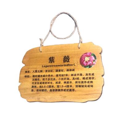 ZQ植树节树木挂牌花木介绍牌植物品名吊牌幼儿园认养防腐标识牌