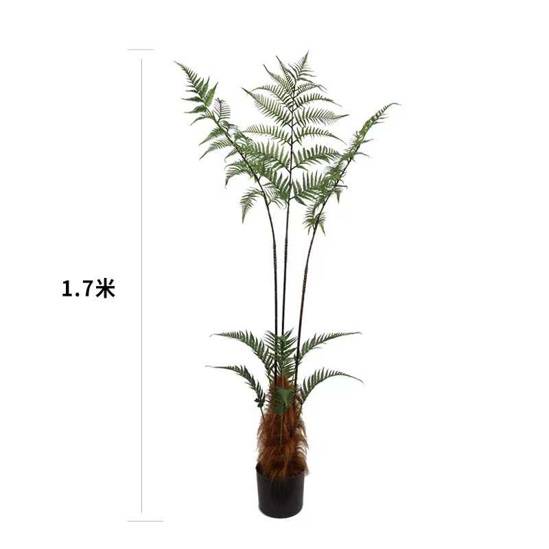 仿真绿植长毛猴头蕨金丝蕨盆栽 落地装饰摆件蕨树蕨草盆景假植物